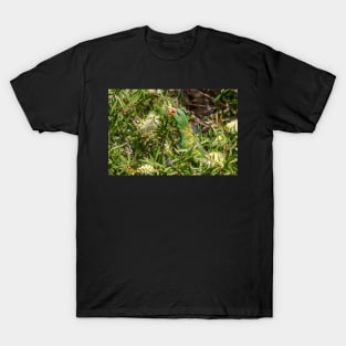 Scaly Breasted Lorikeet, Bribie Island, Queensland T-Shirt